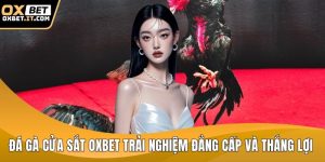 Đá gà cửa sắt OXBET