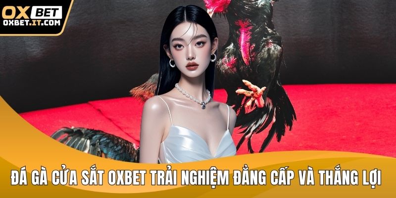 Đá gà cửa sắt OXBET