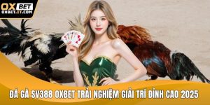 Đá gà sv388 OXBET